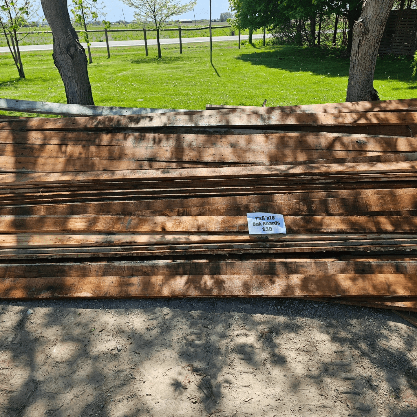 1 x 6 x 16 fence boards
