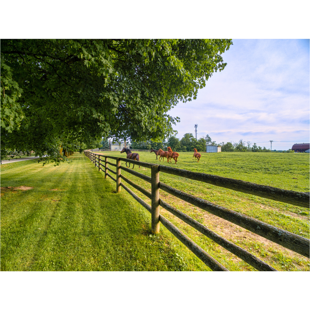 Farm fence